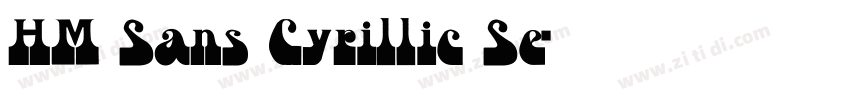 HM Sans Cyrillic Se字体转换